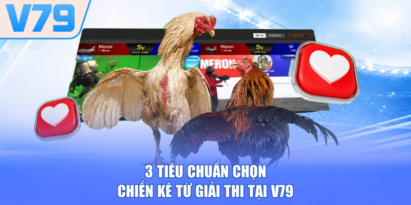 3 tiêu chuẩn chọn chiến kê từ giải thi tại V79