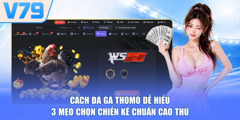 Cách Đá Gà Thomo Dễ Hiểu - 3 Mẹo Chọn Chiến Kê Chuẩn Cao Thủ