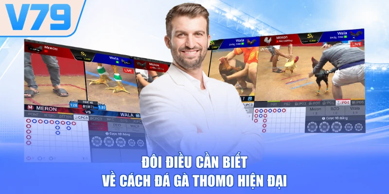 Đôi điều cần biết về cách đá gà Thomo hiện đại