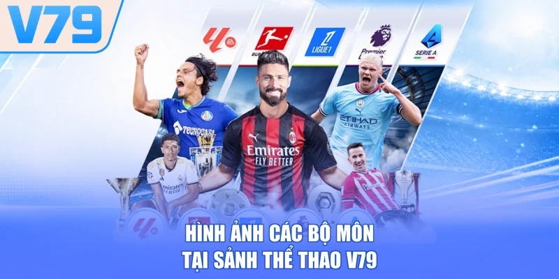 Hình ảnh các bộ môn tại sảnh thể thao V79