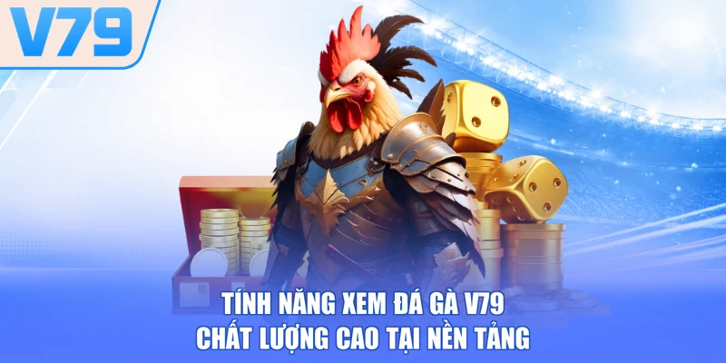 Tính năng xem đá gà V79 chất lượng cao tại nền tảng