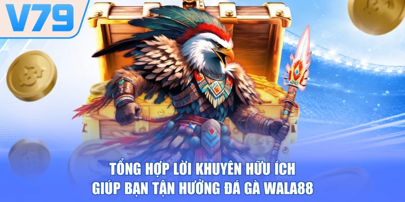 Tổng hợp lời khuyên hữu ích giúp bạn tận hưởng đá gà Wala88
